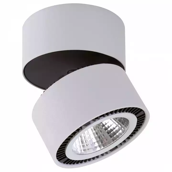 Потолочный светодиодный светильник Lightstar Forte Muro 214830 0_LS_214830.webp big