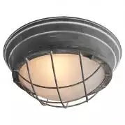 Потолочный светильник Lussole Loft LSP-9881