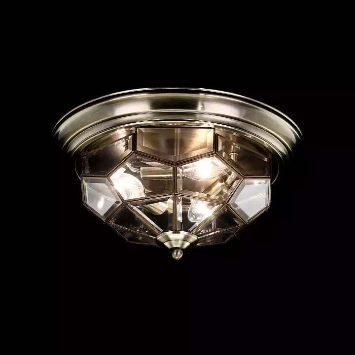 Потолочный светильник Citilux Витра-1 CL442530 1_CL442530.webp big