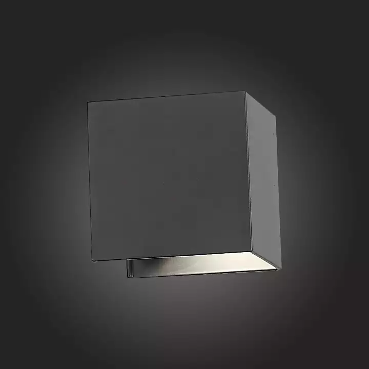 Уличный настенный светодиодный светильник ST Luce SL560.401.02 8_SL560.401.02.webp big