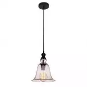 Подвесной светильник Loft IT Loft1812