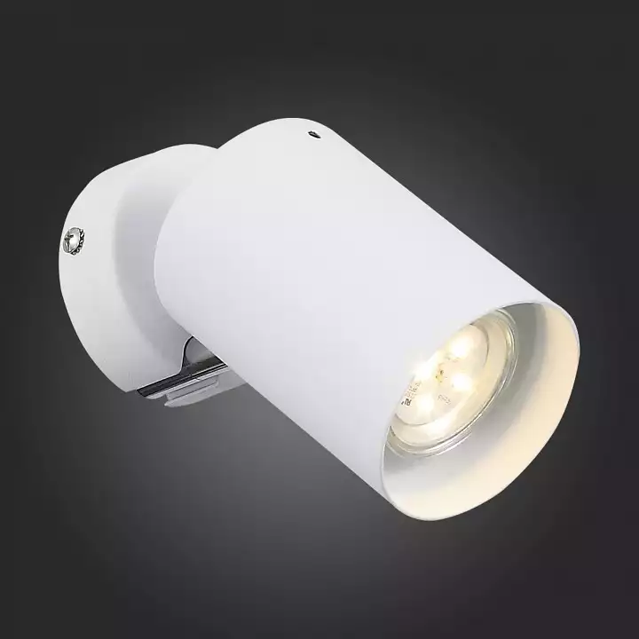 Светодиодный спот ST Luce Fanale SL597.501.01 2_SL597.501.01.webp big