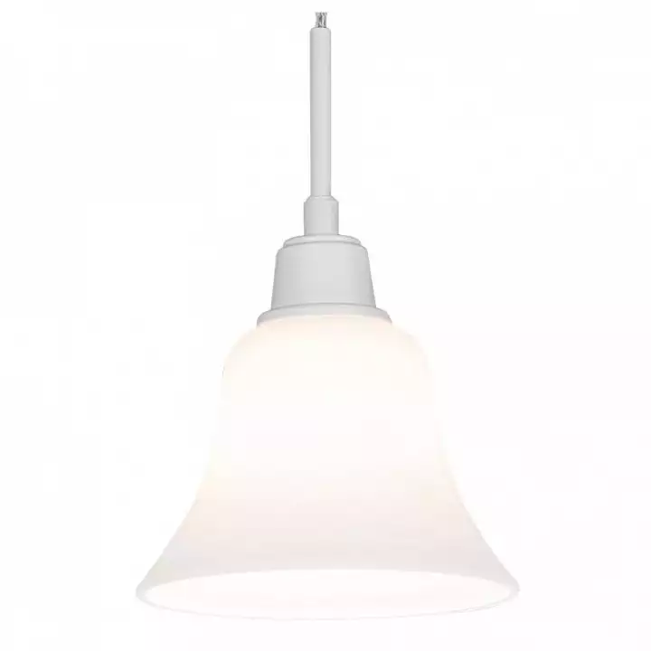 Трековый светильник Citilux Модерн CL560210 0_CL560210.webp big