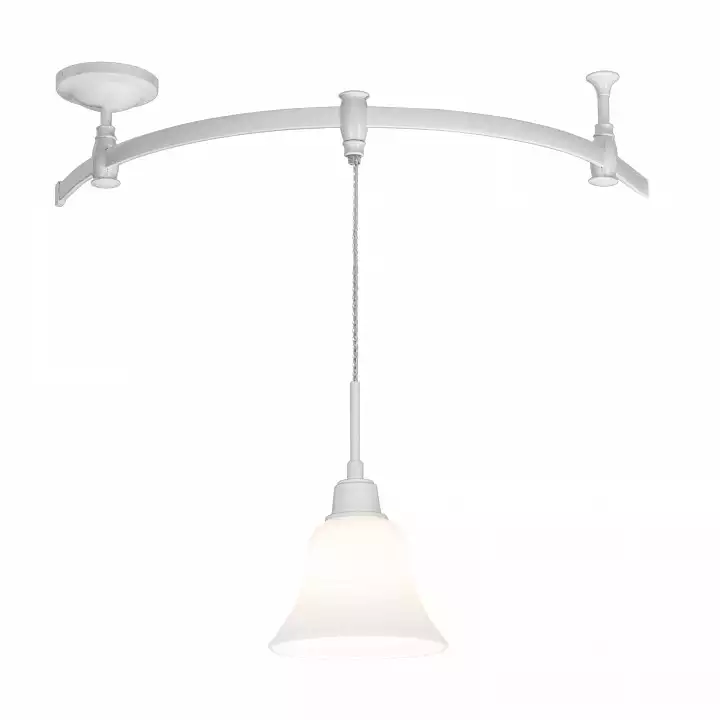 Трековый светильник Citilux Модерн CL560210 1_CL560210.webp big