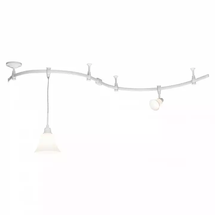Трековый светильник Citilux Модерн CL560210 3_CL560210.webp big