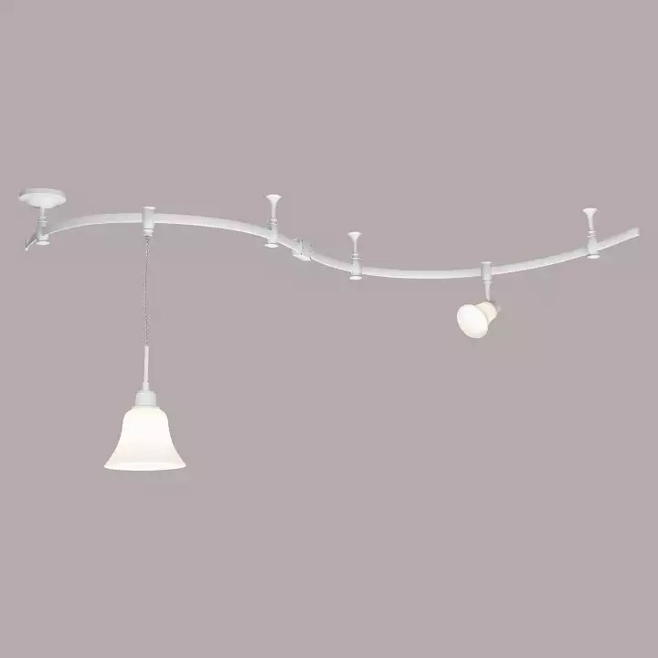 Трековый светильник Citilux Модерн CL560210 4_CL560210.webp big