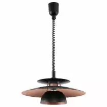 Подвесной светильник Eglo Brenda 31666 1_EG_31666.webp small