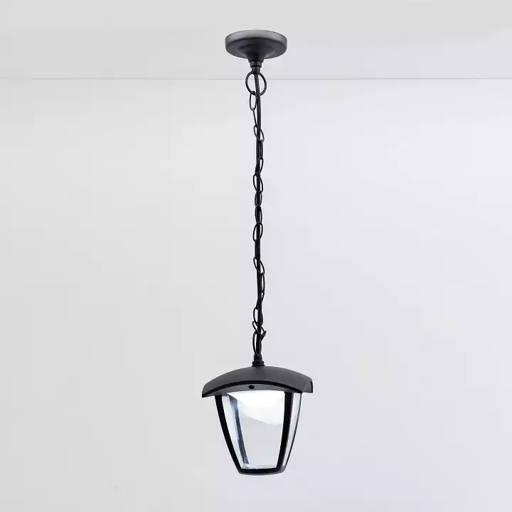 Уличный подвесной светодиодный светильник Citilux CLU04P 2_CLU04P.webp big